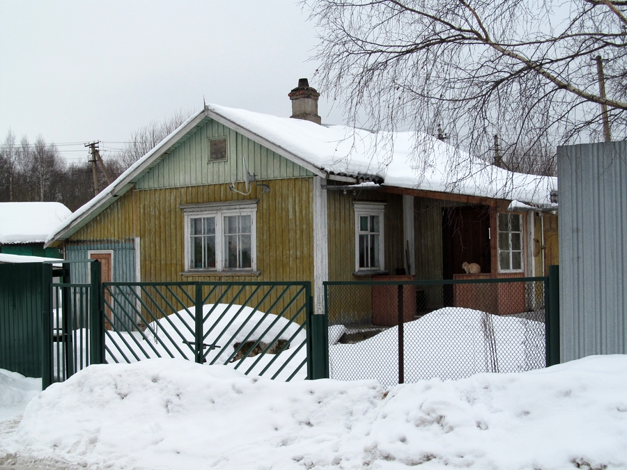 Деревянный финский дом в Лосево _ 2013 г.jpg