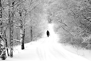 winter_path