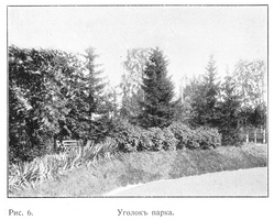 KiT_pics_1913-36.jpg