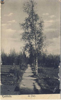 sr_Kuokkala_Uusikirkko_1908-04a