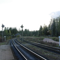 Gvardeyskoe_2009-3