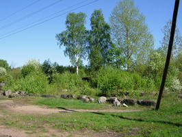 Paltsevo_2010-1