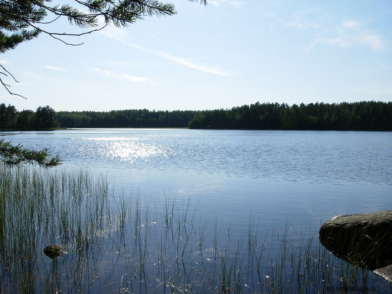 Lounatjoki-14.jpg