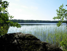 Lounatjoki-8.jpg