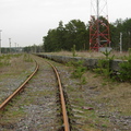 dv Privetnenskoe 2015-06
