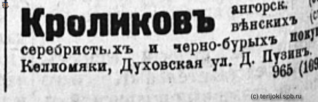 НРЖ_1920.04.27_4_Келломяки_Пузин