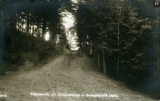 sr Kellomaki Захаровский лес 1913