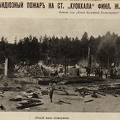 nvi Kuokkala-1913-31-3